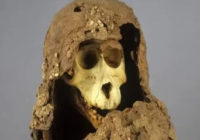 Божество давніх єгиптян. Вчені нарешті розгадали таємницю муміфікованих бабуїнів, знайдених в Єгипті