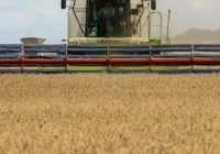 Тест на членство в ЄС. Словаччина не поспішає скасовувати заборону на імпорт українського зерна