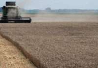 У ЄС є країна, яка гостро потребує зерна. Депутати Європарламенту не бачать проблем через український агроекспорт