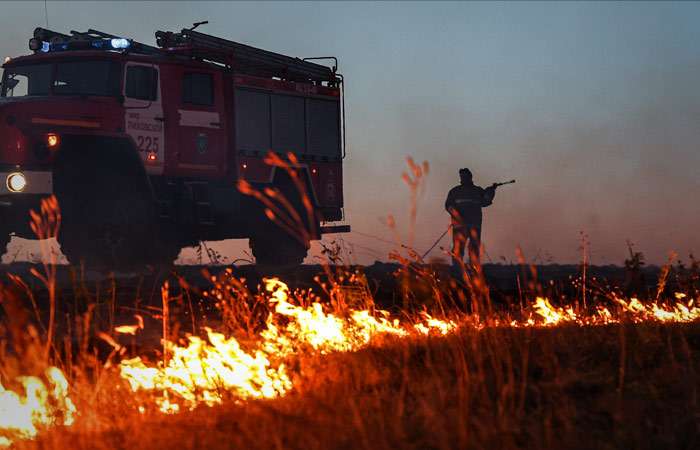 Режим ЧС введен в Ростовской области из-за ландшафтных пожаров