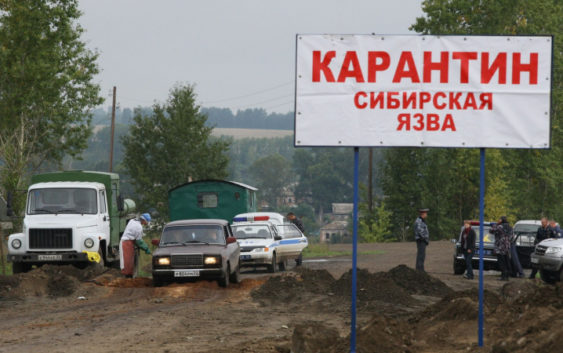Заражение людей сибирской язвой зафиксировали в Акмолинской области